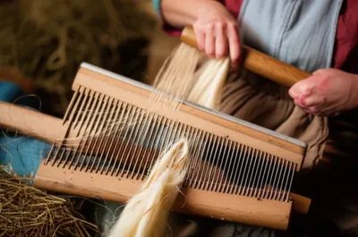 Illustration hackled - Image 1