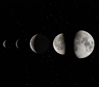 Illustration increment - Image 1