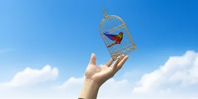 Illustration restricting - Image 1