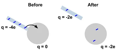 Illustration conservation - Image 2