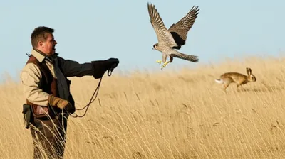 Illustration slipped - Image 1