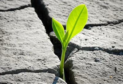 Illustration improving - Image 1