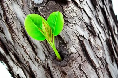 Illustration sex - Image 1