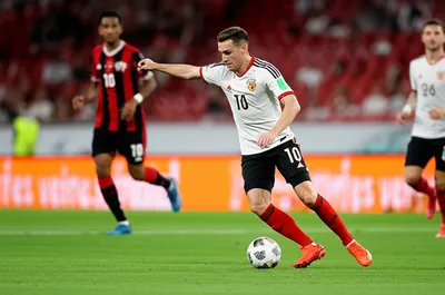 Illustration carries - Image 1