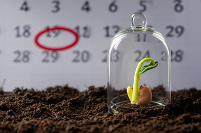 Illustration booking - Image 1