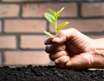 Illustration guaranty - Image 1