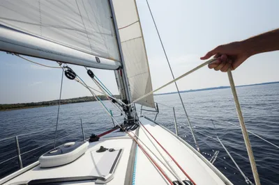 Illustration sheeted - Image 1