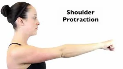 Illustration protraction - Image 2