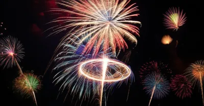 Illustration girandole - Image 1