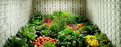 Illustration investment - Image 1