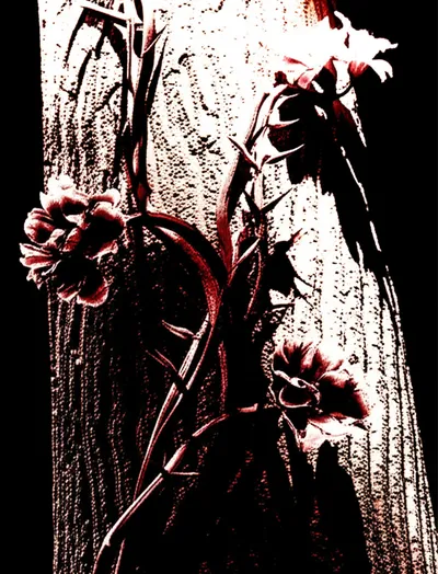 Illustration affairs - Image 1