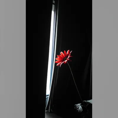 Illustration revealing - Image 1