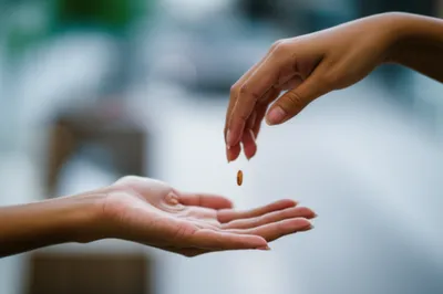 Illustration collect - Image 1