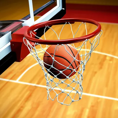 Illustration tray - Image 1