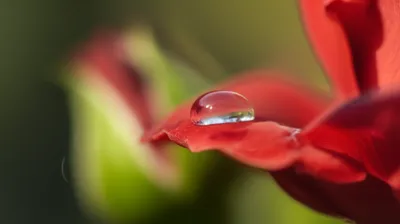 Illustration volatile - Image 1