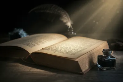 Illustration place - Image 1