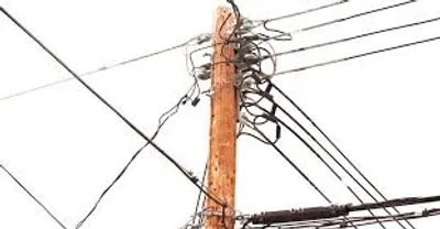 Illustration line - Image 4