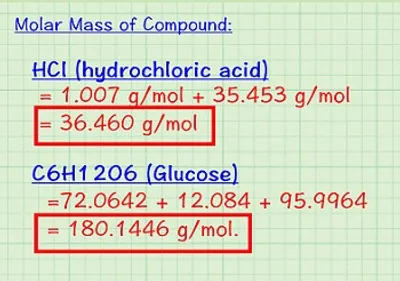 Illustration molar - Image 2
