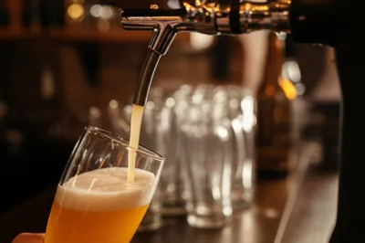 Illustration draft - Image 1