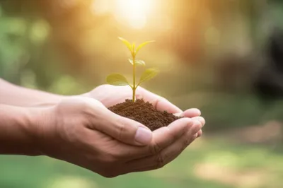 Illustration getting - Image 1