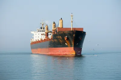 Illustration slug - Image 1