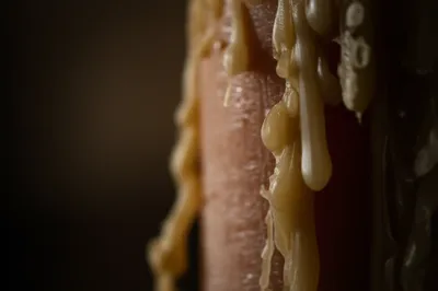 Illustration waxy - Image 1