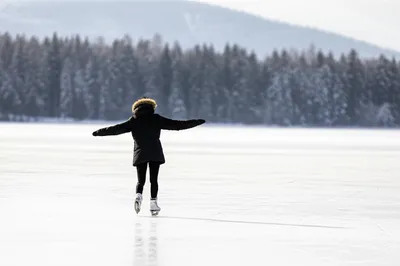 Illustration skate - Image 1