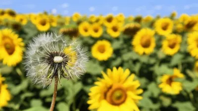 Illustration smallest - Image 1