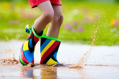 Illustration dabble - Image 1