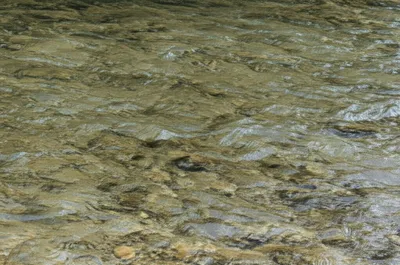 Illustration riffles - Image 1