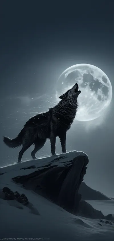 Illustration howled - Image 1