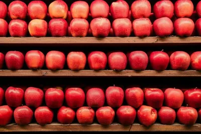 Illustration multiple - Image 1