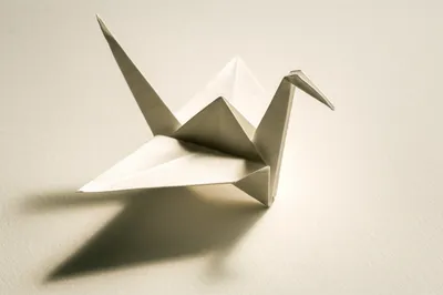 Illustration paper - Image 1