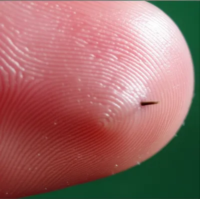 Illustration pricks - Image 1