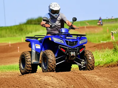 Illustration quads - Image 1