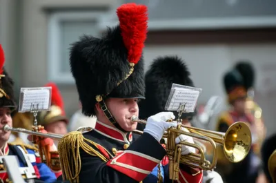 Illustration busby - Image 1