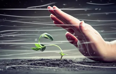 Illustration tented - Image 1