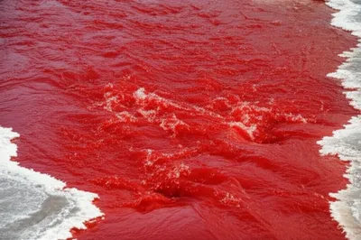 Illustration curdled - Image 1