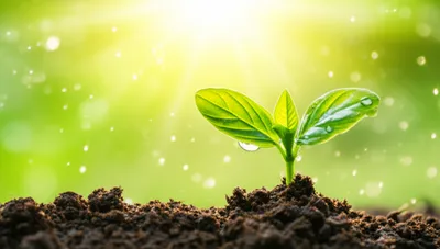 Illustration live - Image 1