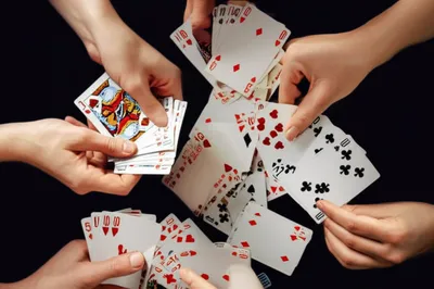 Illustration manilles - Image 1