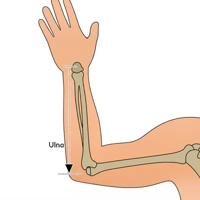 Illustration cubits - Image 1