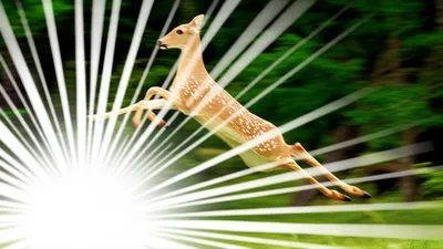 Illustration startling - Image 1