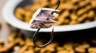 Illustration slivers - Image 1