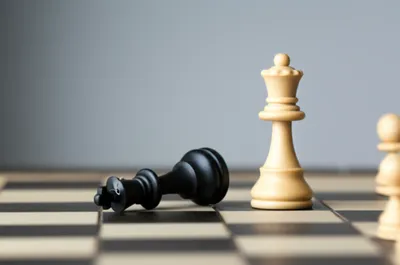 Illustration mating - Image 1