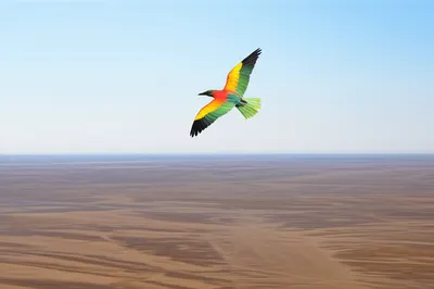 Illustration unconstrained