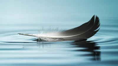 Illustration slide - Image 1