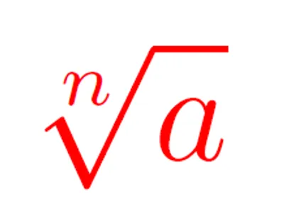 Illustration root - Image 2