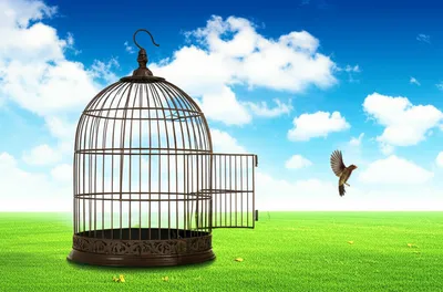 Illustration exempted