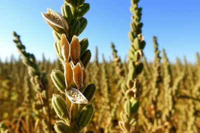 Illustration til - Image 1