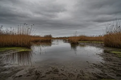 Illustration sloughs - Image 1